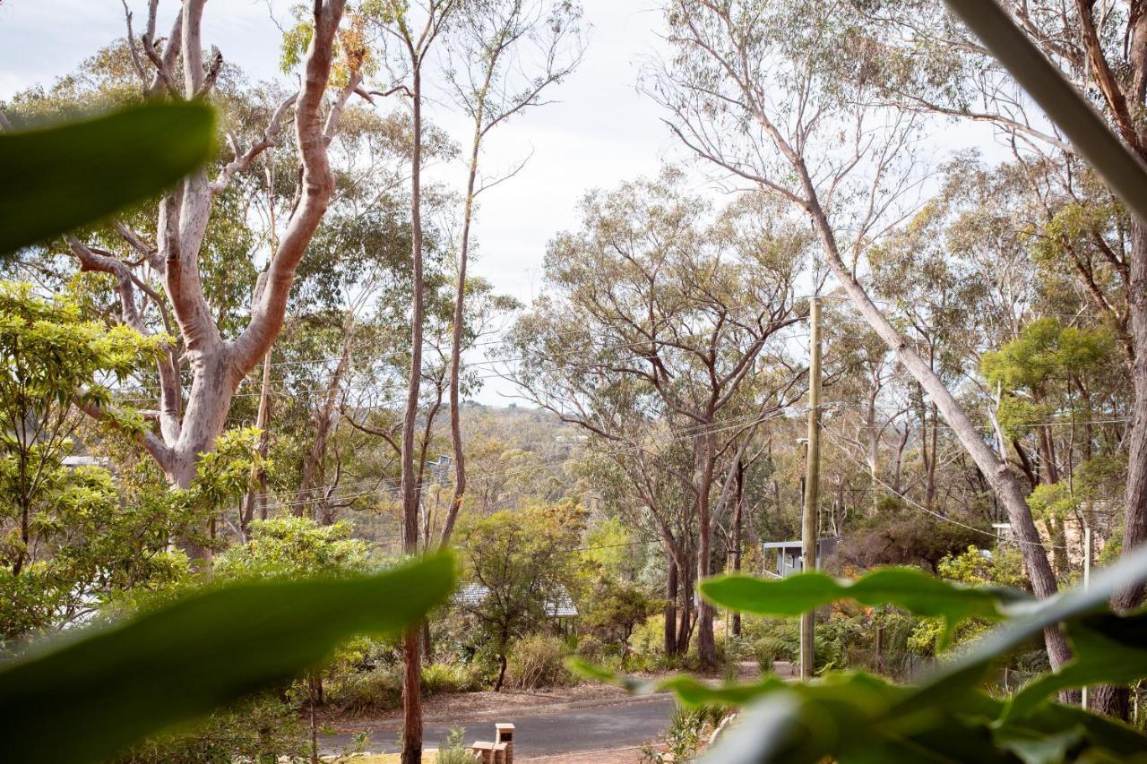 Snooty Fox Bed &Breakfast Bed & Breakfast Hazelbrook Bagian luar foto