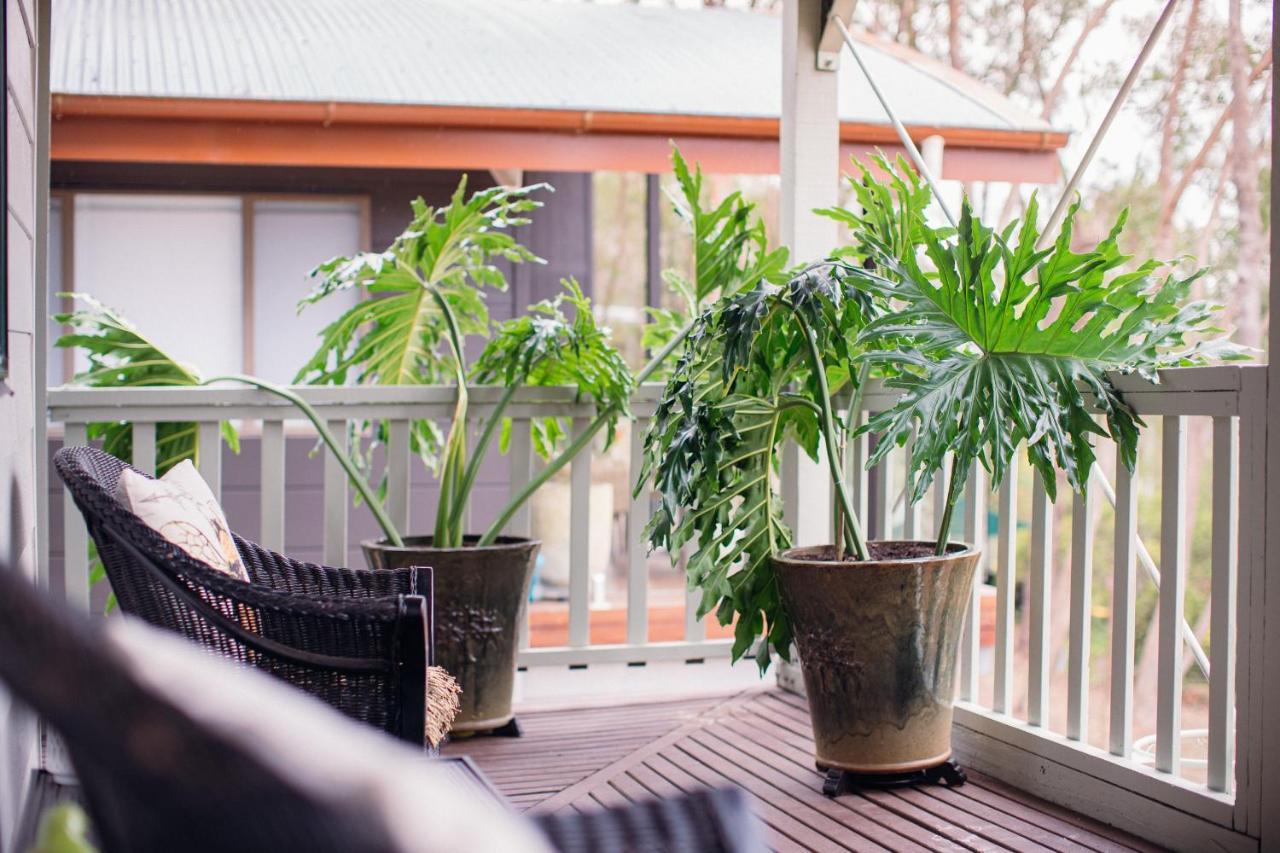 Snooty Fox Bed &Breakfast Bed & Breakfast Hazelbrook Bagian luar foto